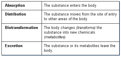 What is Toxicokinetics?