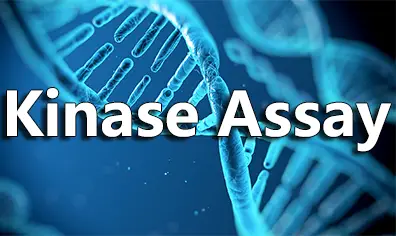 Protein Kinase Assay Services