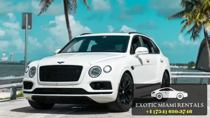 Miami Luxury Car Rental Will Make You Tons Of Cash Here's How!