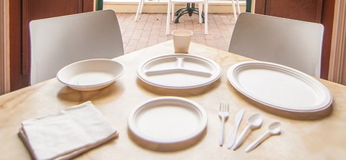 Biodegradable tableware is becoming more popular as the emphasis on lowering carbon footprint and minimising plastic usage grows