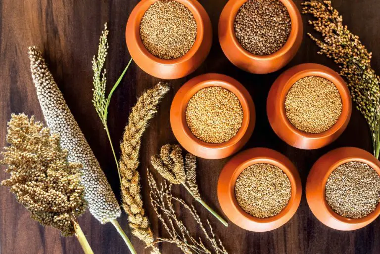 What is Millet? Nutrition, Benefits, and More