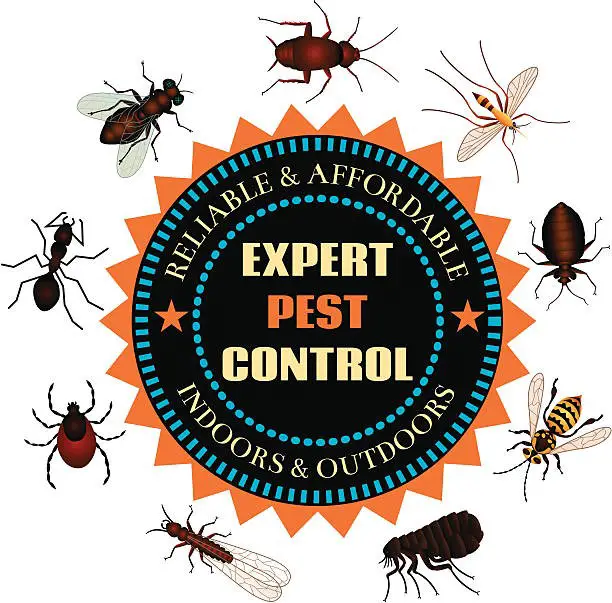 Learn About Pest Control Market Harborough – Local Pest Control Services