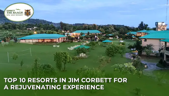 Top 10 Resorts in Jim Corbett for a Rejuvenating Experience