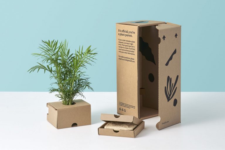 Why Packaging is Important to Make Your Product a Brand?