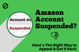 eBay Suspension Appeals – How to Get Your eBay Suspension Appeal Process Started