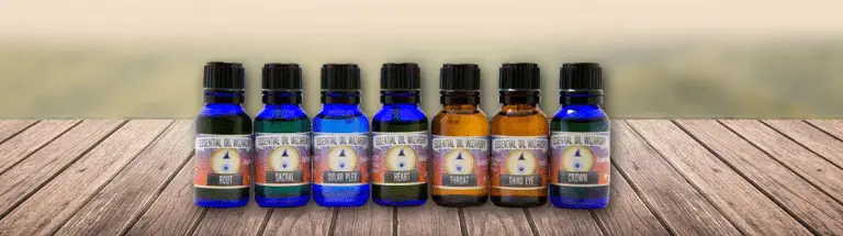 Learn about the Extraction Processes of Essential Oils