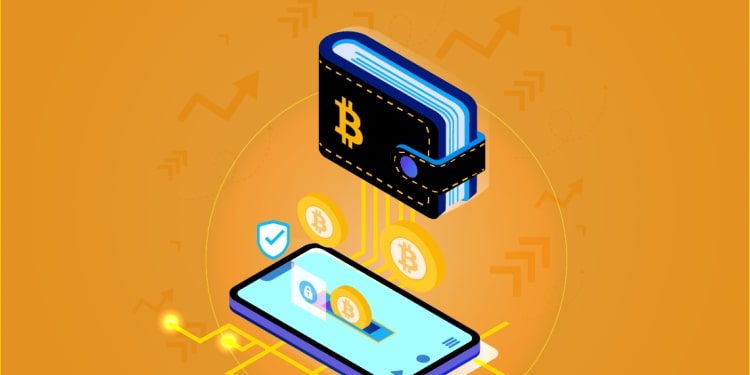 Crypto Wallet And Their Importance In Crypto World