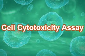 Cell Cytotoxicity Assay Services