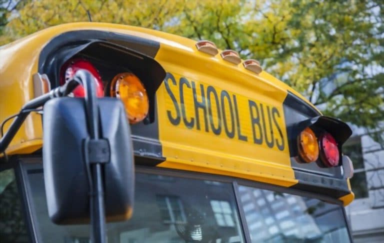 Ways To Offer Safe Trip For Users With School Bus tracking Software