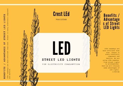 Why Buy LED Bulbs?