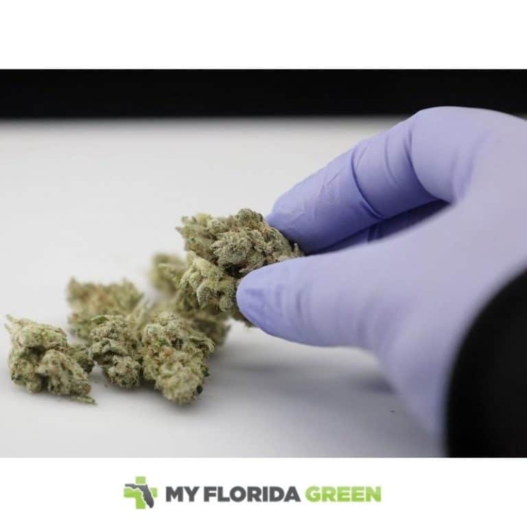 What Conditions Qualify for Medical Marijuana Naples in Florida?