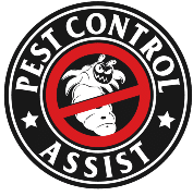 What You Can Do About Rats and Mice in Your Home – Local Pest Control Services