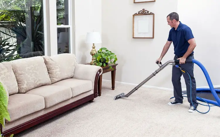 All You Need to Know about Hiring a Pro for Carpet Cleaning