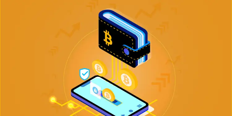 Detailed Guide On The Types Of Crypto Wallets
