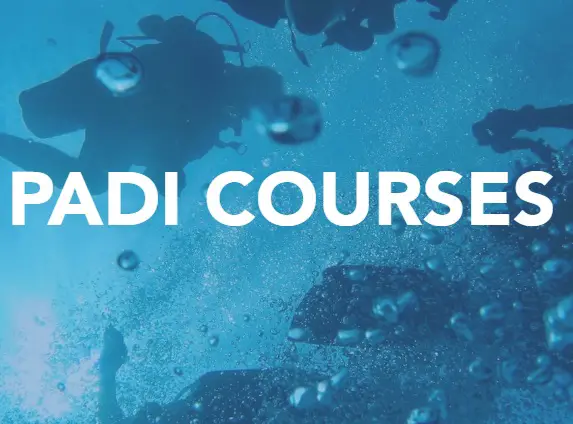 Padi Dive Courses