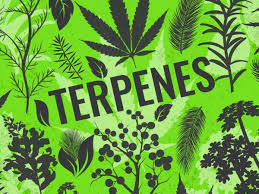 The Health Benefit of True Terpenes