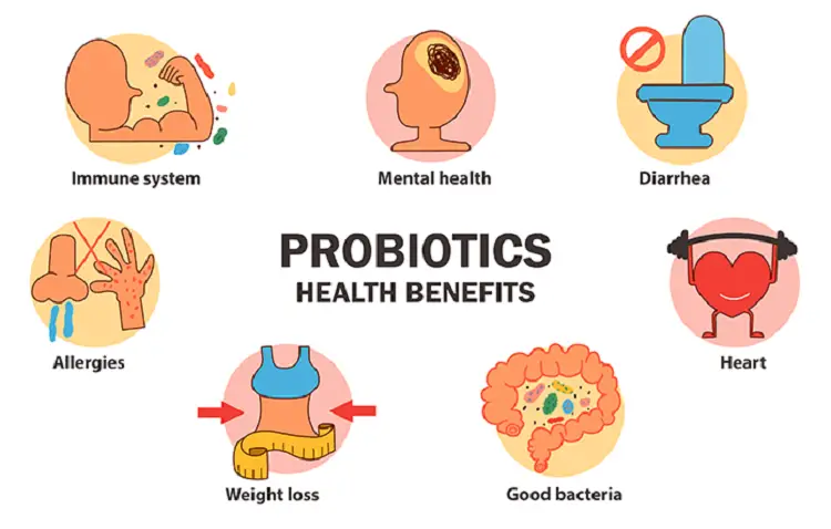 7 Health Benefits of Prebiotics and Probiotics