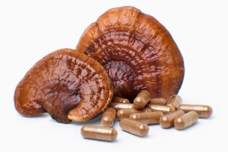 Rumors, Lies and Best mushroom supplements