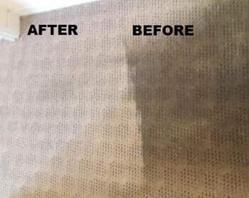 Efficient Carpet Cleaning