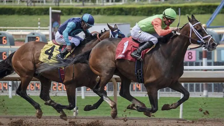 Latest Horse Racing Tips For Del Mar