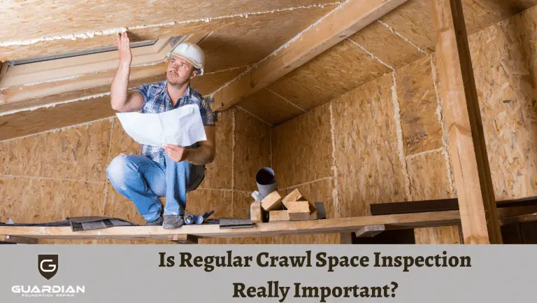 Is Regular Crawl Space Inspection Really Important?