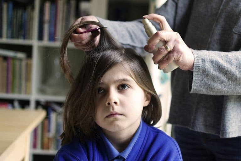 The Effective Lice Removal Ways to Have a Relaxed Head