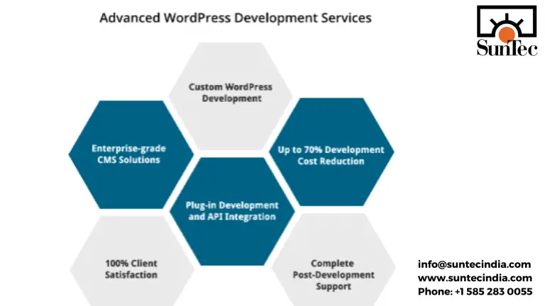 Premium WordPress Development Solutions