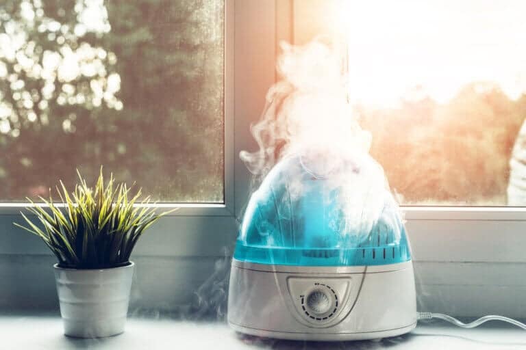 These are the differences between a humidifier and a fogger