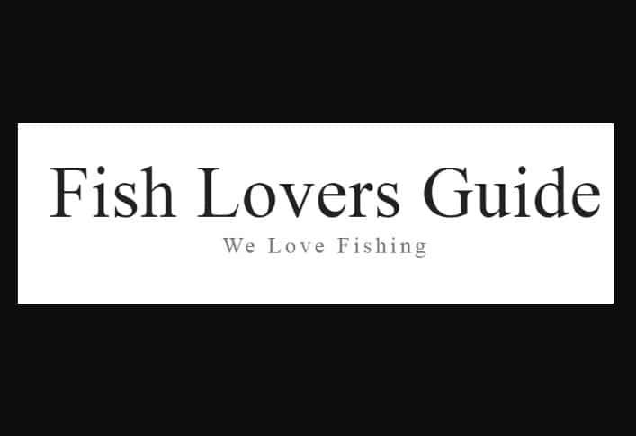 The best way to Uncover Fly Fishing Instruction Online