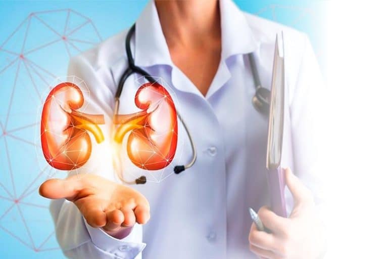 What are the Surgery Options for Kidney Disease in Bangalore?