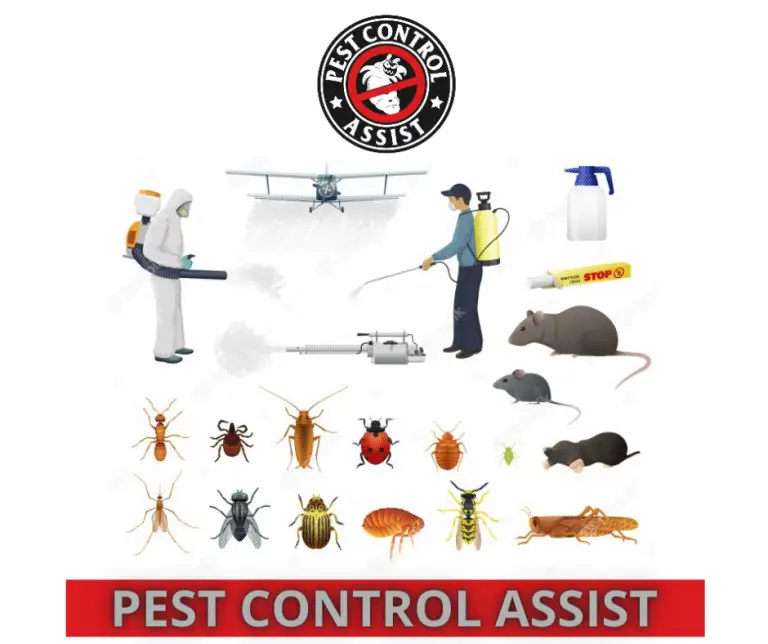 Professional Corby Pest Control Services in UK