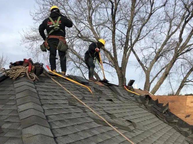 Is it necessary to clean your roof?