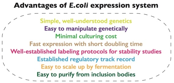 Common Protein Expression System ( Part II )