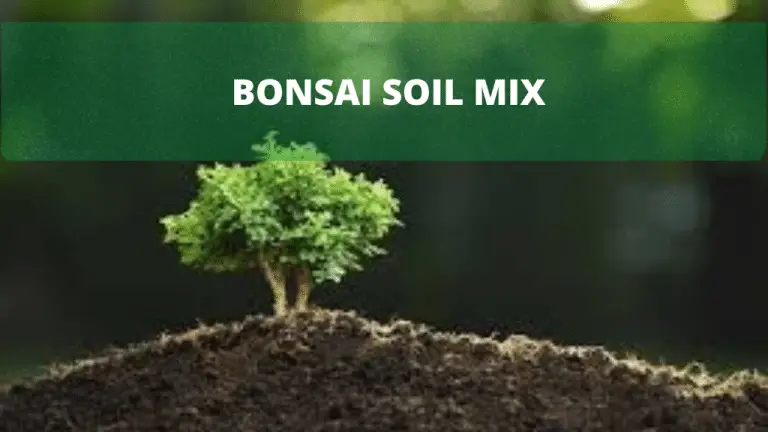 Most beneficial Bonsai Soil and even Compost