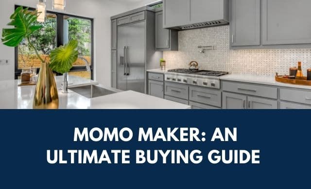 Momo Maker: An Ultimate Buying Guide