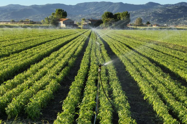 Turning Green: Combating Dry summers With Industrial Irrigation Systems