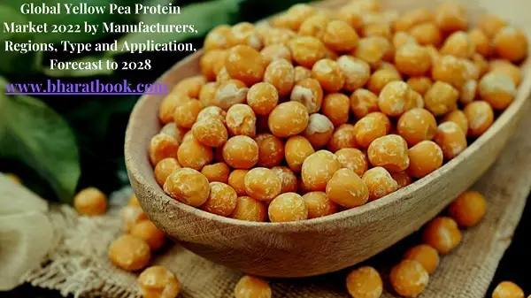 Global Yellow Pea Protein Market 2022 by Manufacturers, Regions, Type and Application, Forecast to 2028