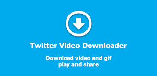 Best Twitter Video Downloader