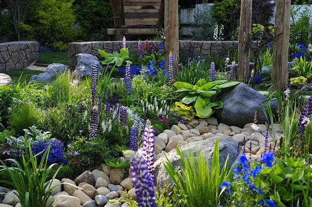 4 Fabulous Ways to Transform Your Backyard in Spring 2022