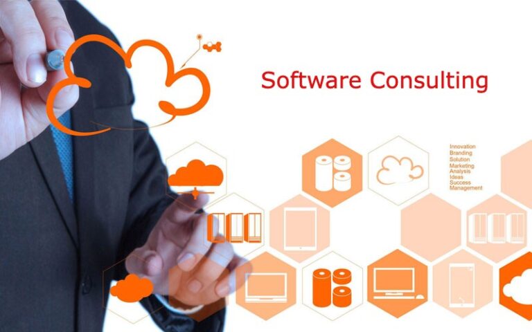 Impact of Software Consulting on your Businesses