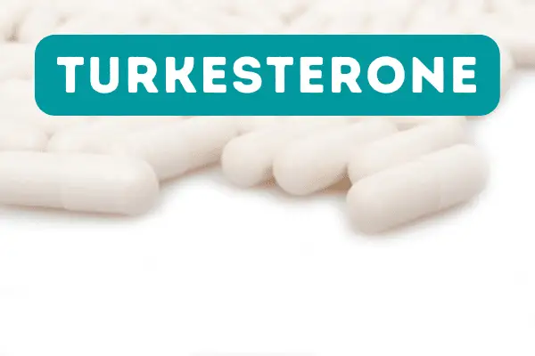 A Guide to Turkesterone for beginners