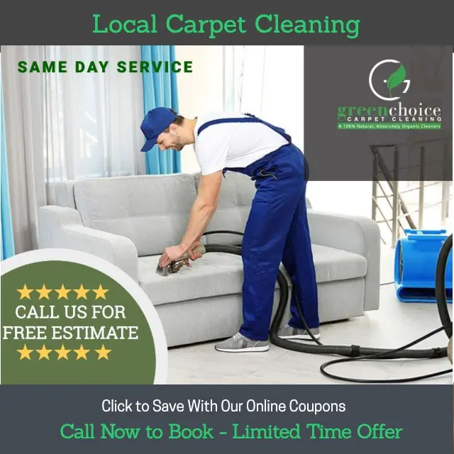 Top 5 Reasons Why You Should Choose Carpet Cleaning Services