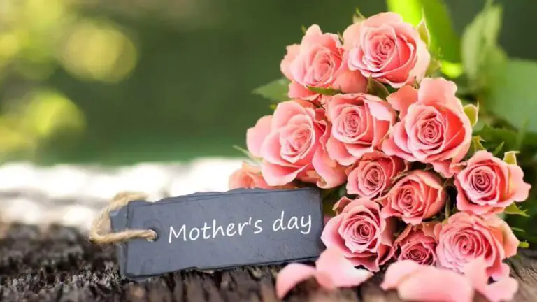 FLOWERS TO GIFT YOUR MOTHER ON MOTHER’S DAY