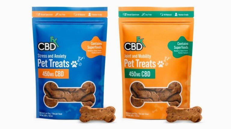 Learned About Cbd dogs Wrong And What You Should Know