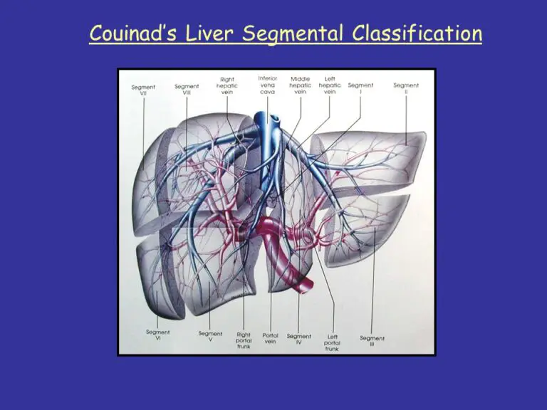 WHY DO LIVER ENZYMES RISE? WHAT ARE THE SYMPTOMS?