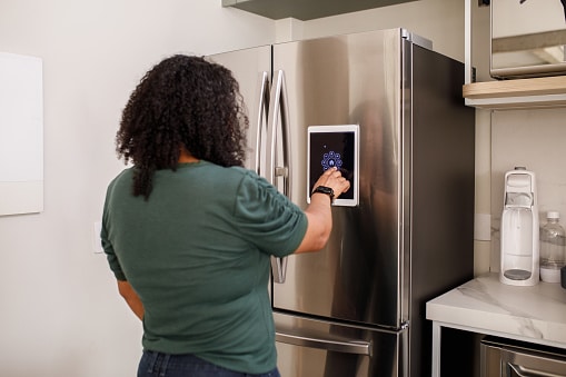 An Expert Guide to Buying the Best Fridge Brand