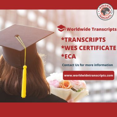 A brief Introduction to Transcripts by WES – Worldwide Transcripts