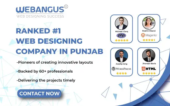 Best Web Designing Company In Punjab, India