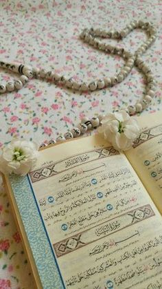 What is the concept of online Quran course?