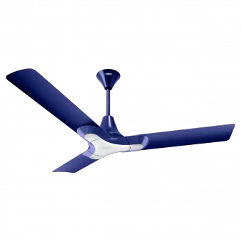 Looking for Ceiling Fans Online? Here’s What You Need to Know